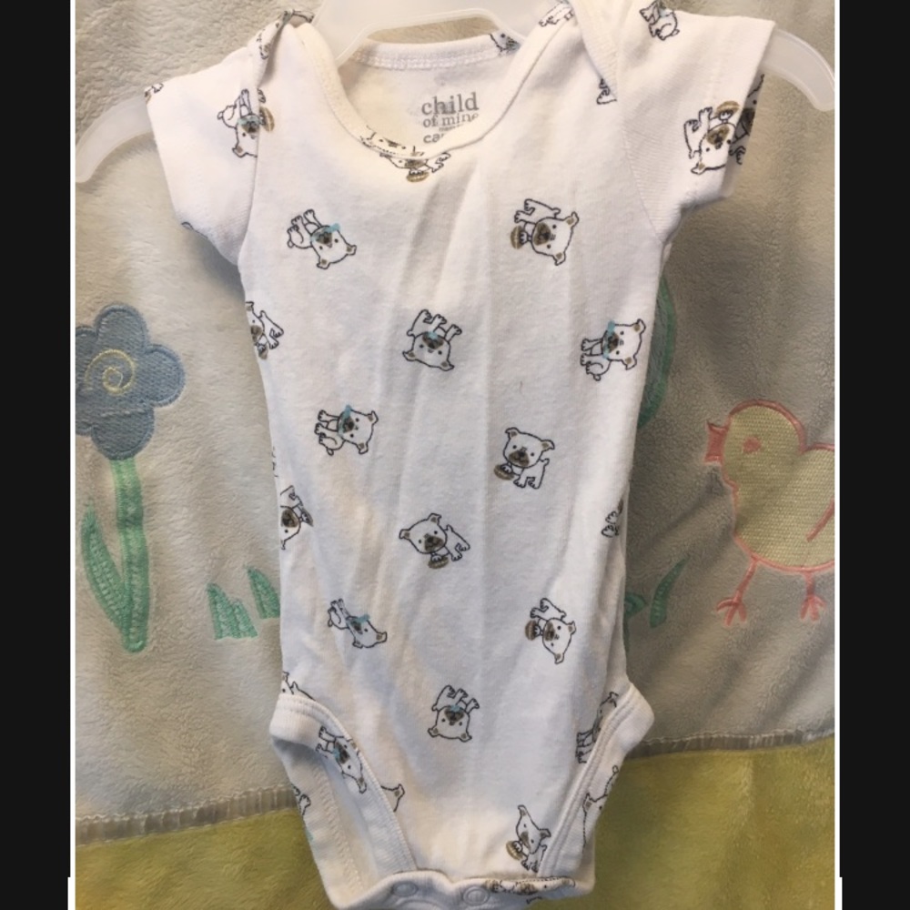 Newborn singlet puppies - Picture 1 of 1